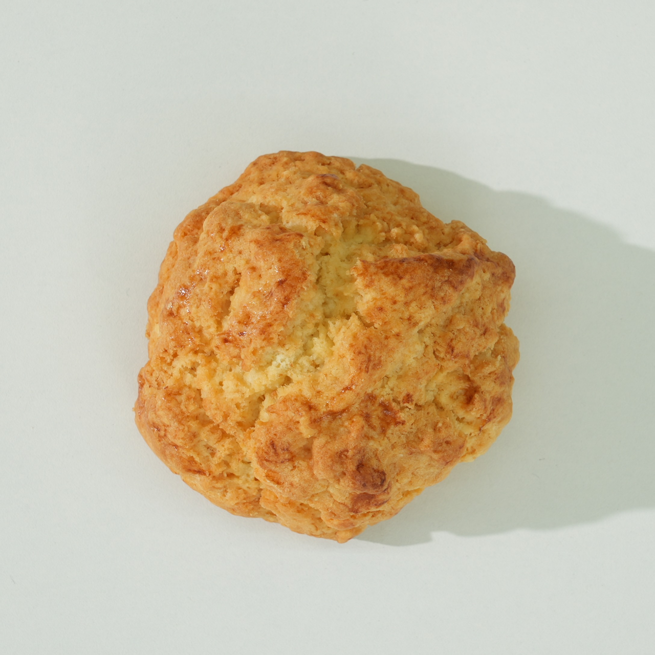 플레인스콘 [12EA/BOX]