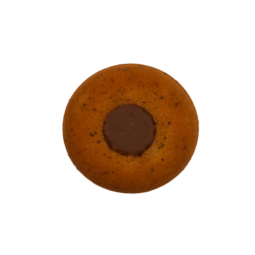 [샘플-사무실] 플레인초코티그레 (택배배송-파손위험높음)