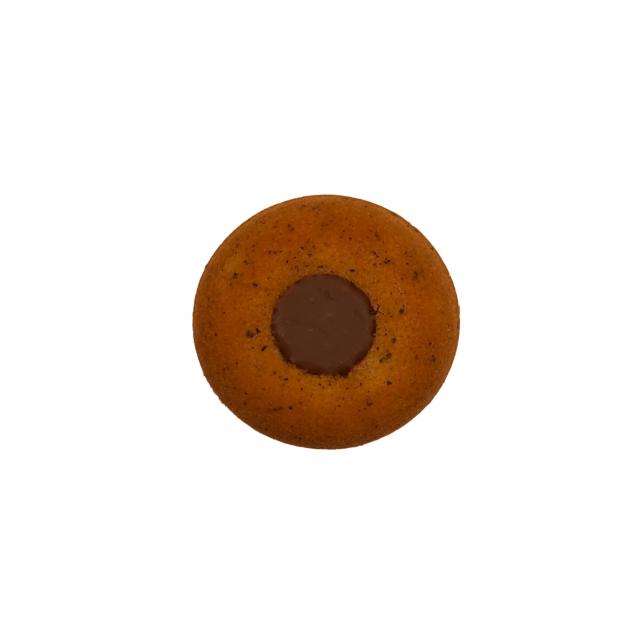 [샘플-사무실] 플레인초코티그레 (택배배송-파손위험높음)